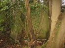 Brüssel-Der Friedhof am Dieweg in Uccle 