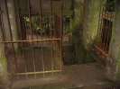 Partie juive du cimetière du Dieweg, Uccle (Bruxelles) 