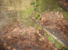 Partie juive du cimetière du Dieweg, Uccle (Bruxelles) 