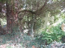 Cimetière du Dieweg, Uccle, Bruxelles, 2006