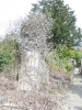 Cimetière du Dieweg, Uccle, Bruxelles, 2006