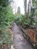 Cimetière du Dieweg, Uccle, Bruxelles, 2006