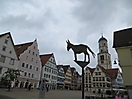 Marktplatz - der Esel, Biberach an der Riß 