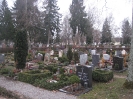 Alter Ostfriedhof in Augsburg, 17.03.2013