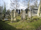 Jüdischer Friedhof in Bad Neustadt an der Saale_5