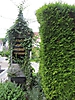 SCHWINGHAMMER Familiengrab - Alter Friedhof (St.Magdalena), Fürstenfeldbruck