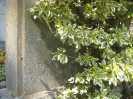 Kelheim-alter Friedhof an der Friedhofstraße