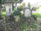 Kelheim-alter Friedhof an der Friedhofstraße