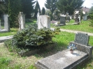 Kelheim-alter Friedhof an der Friedhofstraße