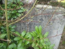 Kelheim-alter Friedhof an der Friedhofstraße