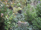 LEVY Sigmund, jüdischer Friedhof, Garchinger Str., München