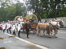 Trachten-und Schützenzug, Oktoberfest, München - 21.09.2008