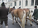 Trachten-und Schützenzug, Oktoberfest, München - 21.09.2008