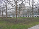 Hofgarten, München, Bayerische Staatskanzlei, 08.01.2013