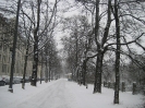 Widenmayerstraße bei Schnee, München, 24.01.2011