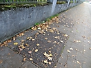 Schwere-Reiter-Straße, München - Schachtabdeckung der Telekom (Norinco)