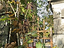 Heßstraße / Ecke Schwere-Reiter-Straße 