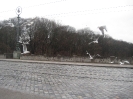 Möwen an der Maximiliansbrücke in München, fotografiert am 19.12.2008