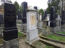 Jüdischer Friedhof, Regensburg