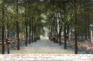 Restaurant Seeschlößchen, Berlin-Wilmersdorf, Kaiser-Allee 51/52 Ecke Hildegardstraße, Besitzer: Francesco Forte, historische Ansichtskarte, 1904 
