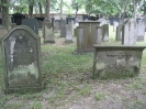 Jüdischer Friedhof in Bremen, 2011