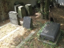 FALCK Erich, ISAAC Lina geb. BEHR, KRONENBERG Amalie , geb. TREU, Jüdischer Friedhof in Bremen