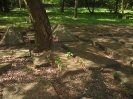 Jüdischer Friedhof, Hamburg-Altona