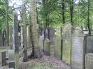 Jüdischer Friedhof, Hamburg-Altona