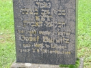 Jüdischer Friedhof, Bad Nauheim