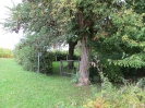 Butzbach (Hessen)-Jüdischer Friedhof  
