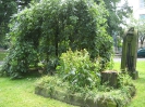 Lutherplatz,  Kassel