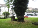 Lutherplatz, Kassel  