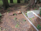 Jüdischer Friedhof, Aachen 