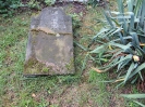 Jüdischer Friedhof, Lütticher Straße, Aachen