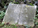 Jüdischer Friedhof, Aachen 