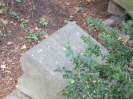 Jüdischer Friedhof, Aachen 