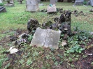 Jüdischer Friedhof, Aachen 