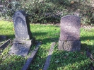 FRENKEL Else,  DANIEL Max,  Jüdischer Friedhof im Burgfriedhof, Bad Godesberg, 31.10.2013