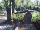 OSTER Max, HONIGBAUM Valeska geb. ZIEGLER, Jüdischer Friedhof im Burgfriedhof, Bad Godesberg, 31.10.2013