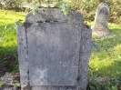 SCHMITZ Jenny, Jüdischer Friedhof im Burgfriedhof, Bad Godesberg, 31.10.2013