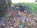 DARDENNE Mathilde née CARL, Cimetière juif, Burgfriedhof, Bad Godesberg, 31.10.2013