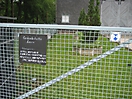 KZ-Gedenkstätte Laura bei Schmiedebach (Lehesten) - Außenkommando KZ Buchenwald