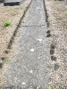 Cimetière juif de Louvigny, 2006