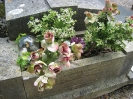 Ardres-cimetière,2008