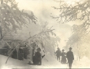gutbürgerliche Familie, Deutschland zwischen 1900 und 1910, märchenhafter Winter, historische Fotografie 