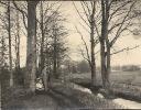 Sommerspaziergang, Lebensstil einer gutbürgerlichen Familie in Deutschland zwischen 1900 und 1910