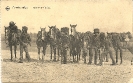 Armee Belge, Escorte de Guides, Feldpostkarte 1915