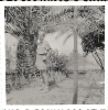Lampedusa (Italien)-historische Bilder
