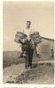 Deutscher Soldat reitet auf Esel, Lampedusa, Süd-Italien, 1942