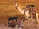 Petra - die verlassene Felsenstadt in Jordanien